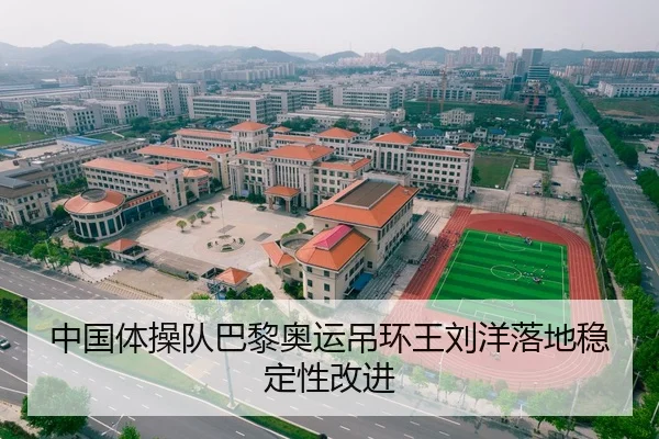 中国体操队巴黎奥运吊环王刘洋落地稳定性改进