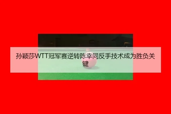 sun-ying-sha-guan-jun-sai-ni-zhuan-chen-xing-tong-fan-shou-ji-shu-cheng-wei-sheng-fu-guan-jian-3-863.jpg