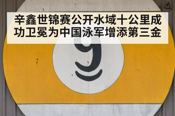 辛鑫世锦赛公开水域十公里成功卫冕为中国泳军增添第三金